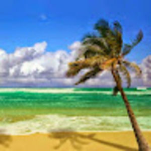 Meet your Posher, Joshua